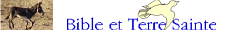 Bible et terre sainte